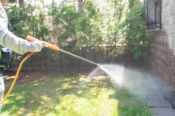Wasp Removal Services in Redgranite, WI