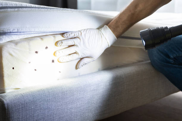 Pest Prevention Services in Redgranite, WI